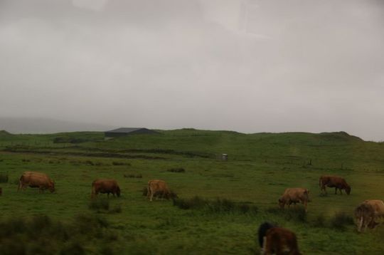 DSC07021_640.jpg
