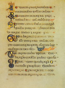 ms0169.jpg